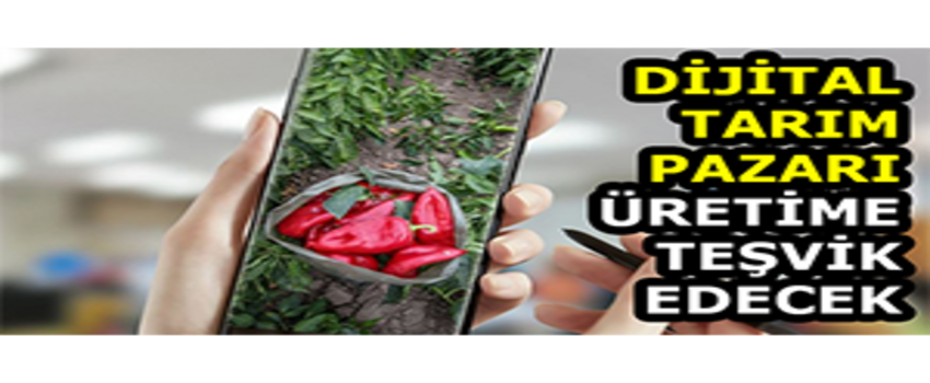 Dijital Tarım Pazarı Üretime Teşvik Edecek