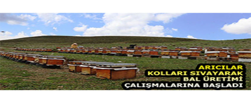 Arıcılar Kolları Sıvayarak Bal Üretimi Çalışmalarına Başladı