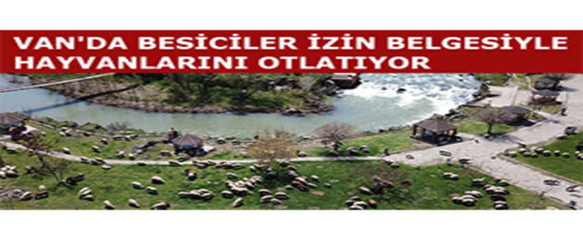 Van`da Besiciler İzin Belgesiyle Hayvanlarını Otlatıyor
