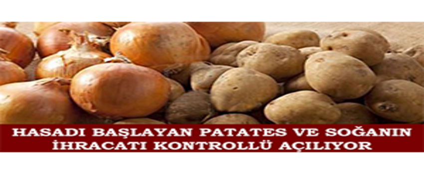 Hasadı Başlayan Patates ve Soğanın İhracatı Kontrollü Açılıyor