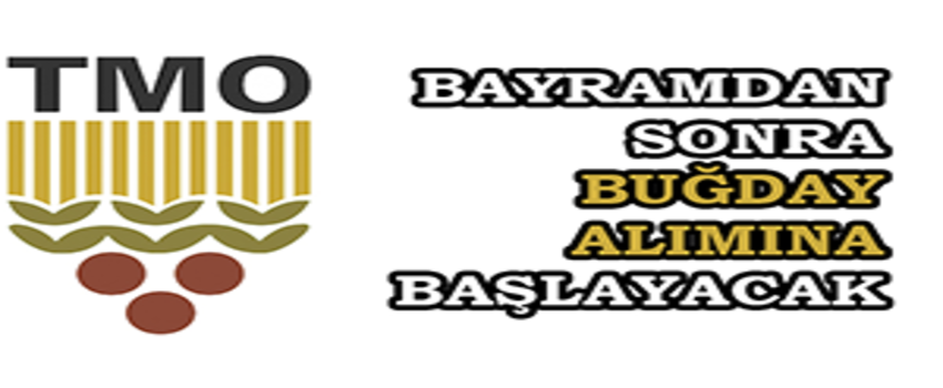 TMO Bayramdan Sonra Buğday Alımına Başlayacak