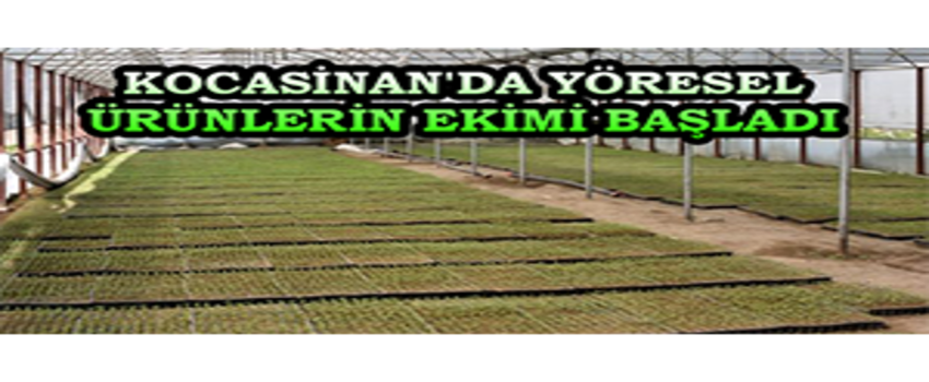 Kocasinan`da Yöresel Ürünlerin Ekimi Başladı