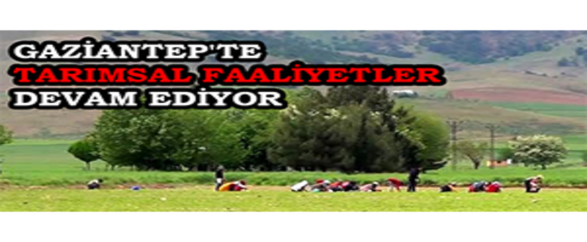 Gaziantep`te Tarımsal Faaliyetler Devam Ediyor