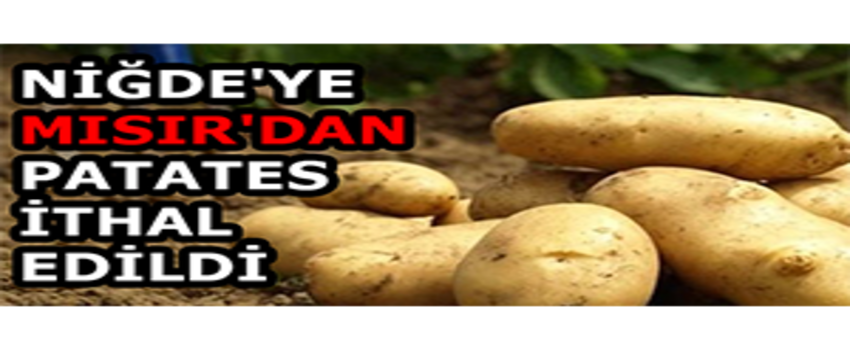 Niğde`ye Mısır`dan Patates İthal Edildi