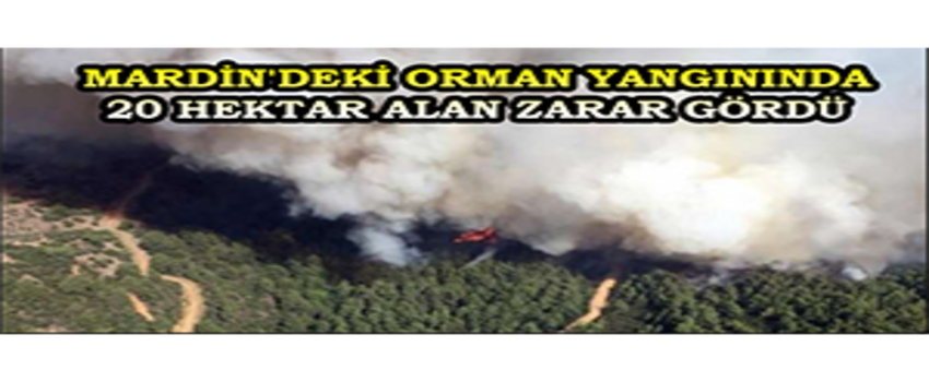 Mardin`deki Orman Yangınında 20 Hektar Alan Zarar Gördü