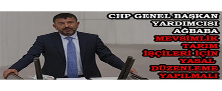CHP Genel Başkan Yardımcısı Ağbaba: Mevsimlik Tarım İşçileri İçin Yasal Düzenleme Yapılmalı