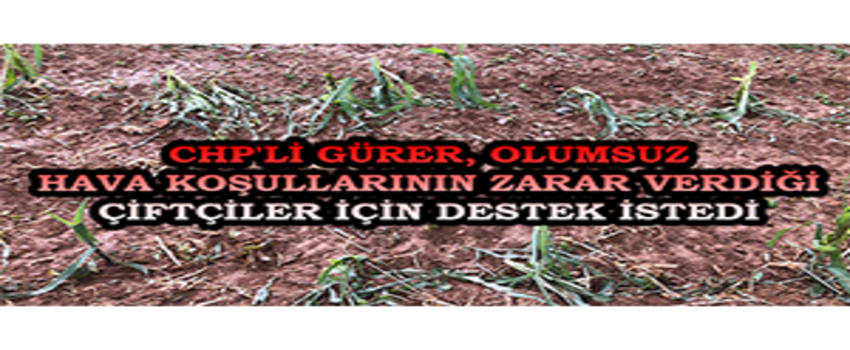 CHP`li Gürer, Olumsuz Hava Koşullarının Zarar Verdiği Çiftçiler İçin Destek İstedi