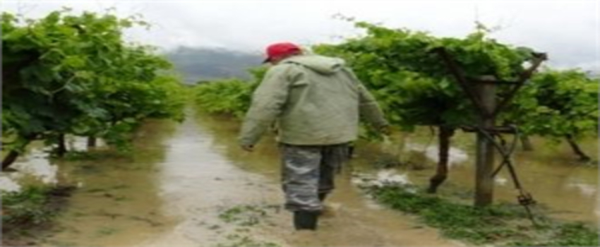 Meteoroloji`den Çok Sayıda İle Sağanak Yağış Uyarısı