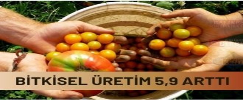Bitkisel Üretim Yüzde 5,9 Arttı