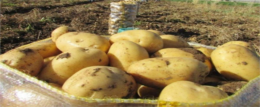 TZOB` TAN MARKET FİYATLARI AÇIKLAMASI