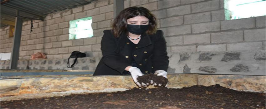 ÖDEV OLARAK İNCELEDİĞİ SOLUCAN GÜBRESİNİN ÜRETİCİSİ OLDU