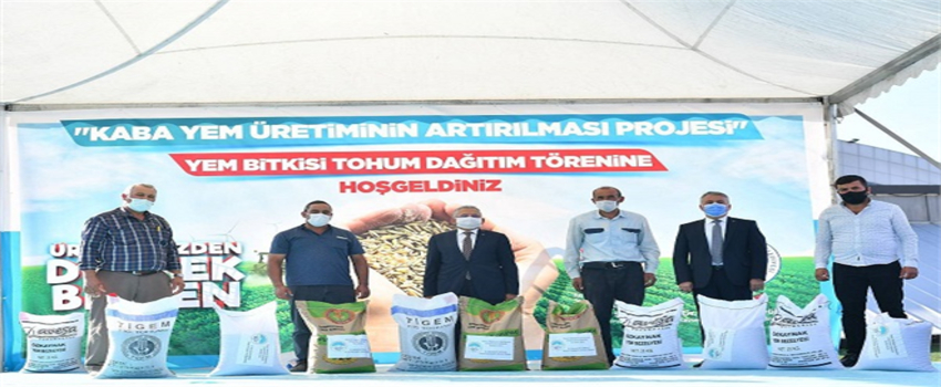 4 Bin Çiftçiye 1000 Ton Yem Bitkisi Tohumu Dağıtılacak
