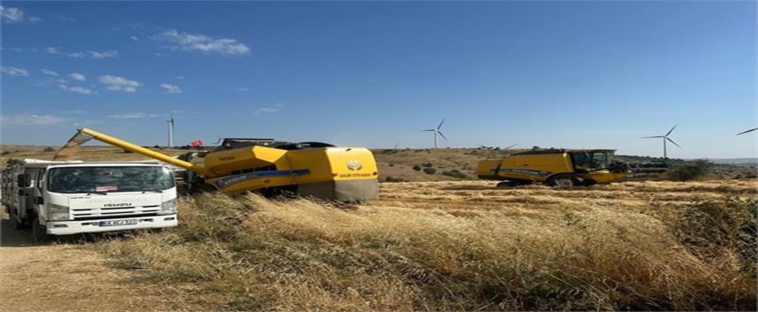 Uşak`ta Tritikale Üretiminden Olumlu Sonuç Alındı