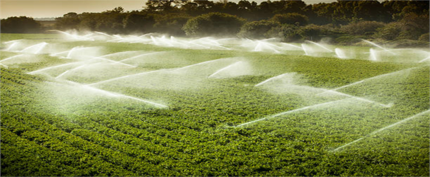 Desteklemeler Bugün Ödeniyor!