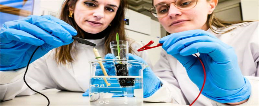 Elektrikle Beslenen Topraklarla Geleceğin Tarımı Şekilleniyor