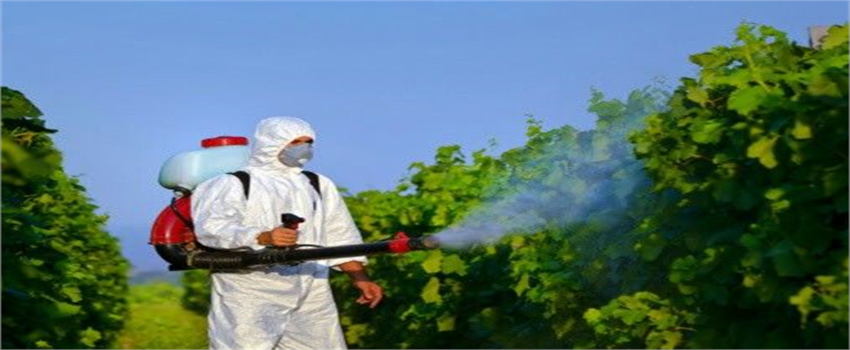Bitki Koruma Ürünlerinde Yenilik: Bakanlık Ruhsatlandırma Süreçlerini Düzenledi