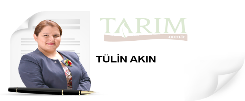 Tülin Akın Kimdir?