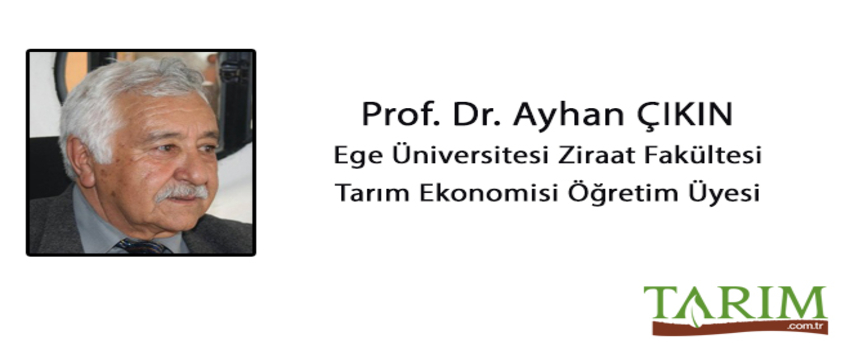 Kooperatif Hareket Yol Ayrımında mı?