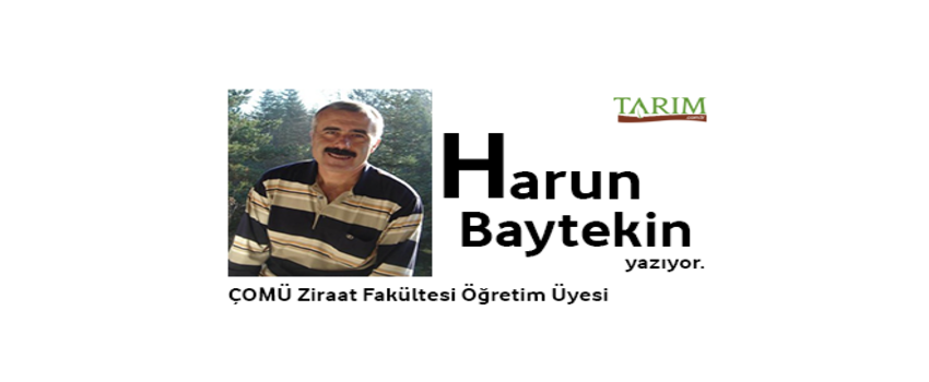 ŞEKER İŞLERİ