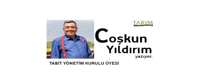 Afrika-Türkiye Tarımsal İşbirliği: Gıda Tedarik Zincirinden Değer Zincirine Geleceğin Yolculuğu