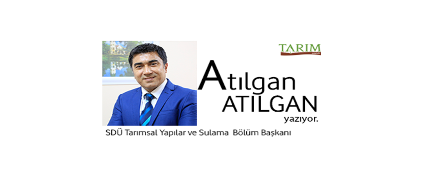 ETLİK PİLİÇ YETİŞTİRİCİLİĞİ