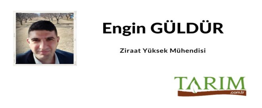 Toprak...