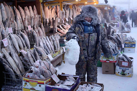 Yeni Zelanda lı fotoğrafçı Amos Chapple dünyanın en soğuk büyük şehri Yakutsk tan dünyanın en soğuk köyü olarak bilinen Rusya nın Saha Cumhuriyetine bağlı Oymyakon a bir seyahat yaptı Oymyakon da yaşayanlar adeta soğuk havayla savaşıyorlar Örneğin bitki yetiştiremedikleri için tek yiyecekleri et