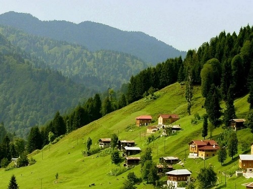 Artvin yaylaları Türkiye nin en fazla oksijene sahip olan Artvin yaylaları gidip görülmenin yanı sıra birde şifa kaynağı Yoğun orman ve yeşilliği ile bol miktarda oksijene sahip Astım akciğer kanseri şeker kolesterol gibi hastalıklara Artvin yaylaları havası iyi geliyor