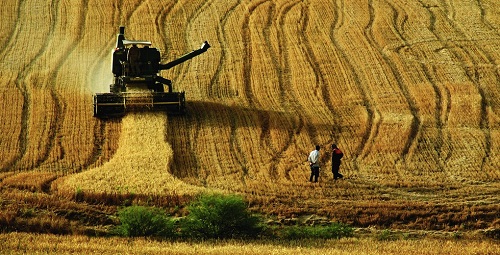 1 Tarım arazisi denilince toprak akla gelir Toprak ise içinde yaşayan canlılarla birlikte bir bütündür Bu canlılar toprağı bitkisel üretim için hazırlar Ancak 60 lı yıllardan başlayarak ilaç ve gıda tekelleri tarafından Yeşil Devrim adıyla kamuoyuna sunulan kimyasalların kullanımı topraktaki bu canlıları öldürmeye başlamış ve toprağın canlılığını zaman içinde yoketmiştir Artık geriye toprak görünümlü kum taneleri kalmakta bitkisel üretim zayıflamaktadır