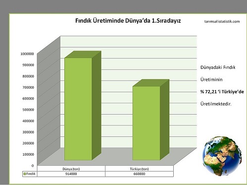 1 Fındık Üreterek Dünyaları Besliyoruz 72 21