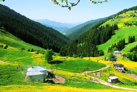 Meralar çok sayıda bitki florasına sahip olmalı hayvanların rahatça dolaşacağı şekilde düz ya da az eğimli olmalı dik ve kayalık olmamalıdır Meranın büyüklüğüne göre hayvan olmalı ve aşırı otlatma yapılmamalıdır