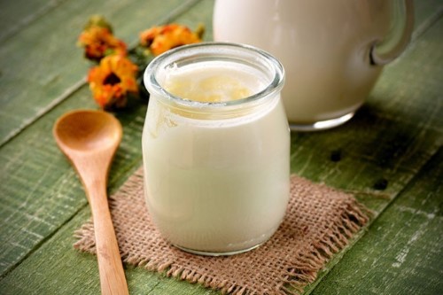 Kefir Kefir hele de mikropların kol gezdiği bugünlerde vücut direncini artırmada birebir Son yıllarda yapılan tüm çalışmalar düzenli tüketildiğinde kefirin üst solunum yolu enfeksiyonlarına karşı koruyucu olduğunu ortaya koyuyor Kefir gribal enfeksiyonlara karşı korurken bağırsakta kanser oluşturan etkenleri engelliyor probiyotik özelliği sayesinde sindirim sistemine yararlı oluyor Ayrıca sinirsel rahatsızlıklara iştahsızlık ve uykusuzluğa karşı da fayda sağlıyor