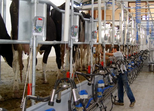 Öncelikle geleneksel tarım yöntemlerinin yanında teknolojiyi kullanmaya başlayan çiftçiler günlük işlerinin verimli artışını görebilecek Örnek vermek gerekirse bir çiftçi yetiştirdiği ürününü canlı hayvanlarını akıllı telefonları sayesinde uzaktan takip edebilecek