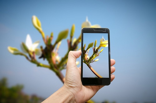 8 Bitki Hastalık Teşhis Aplikasyonu Geliştirilen bu mobil aplikasyon küçük çiftçilerin bitki hastalıklarının fotoğraf yardımı ile hızlı ve kolay bir şekilde tespit ve analiz edilmesi için düşünülmüş Uygulama bir cep sözlüğü gibi çalışıyor uzmanlar ve danışmanlar olmadan da sahada durumları anında tespit etmesi büyük önem taşıyor Tarlada şimdilik 60 a yakın teşhis sağlanabilse de bu sayının hızlı bir şekilde arttırılması hedefleniyor