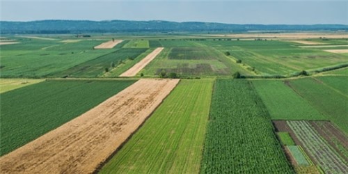 Tarımsal amaçlı arazi kullanımlarında plan ve projelere uyulması tarım arazilerinin korunmasına yöneliktir