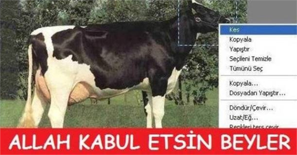 Bu capsler çok güldürüyor