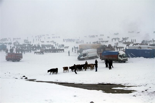 Doğu Anadolu ya kar yağdı