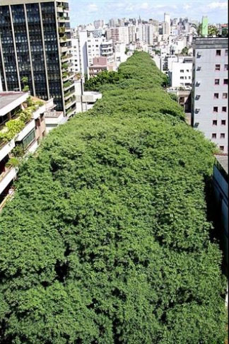 Rua Gonçalo de Carvalho Brezilya