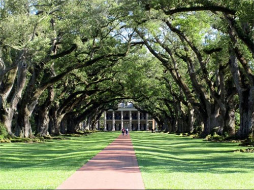 Oak Alley Louisiana ABD